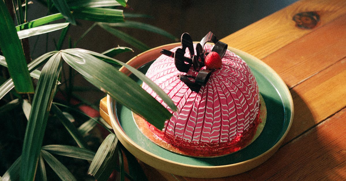 A vibrant pink cake adorned with chocolate decoration, set on a green plate beside a leafy plant.