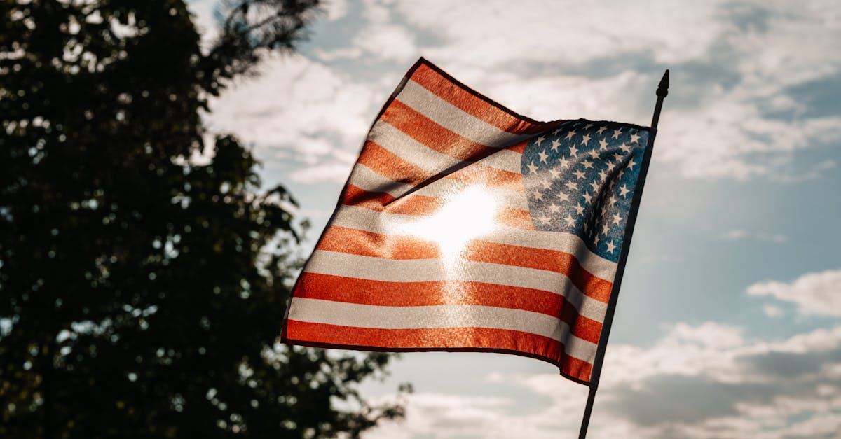 A waving American flag with sunlight streaming through against a backdrop of trees and cloudy sky.